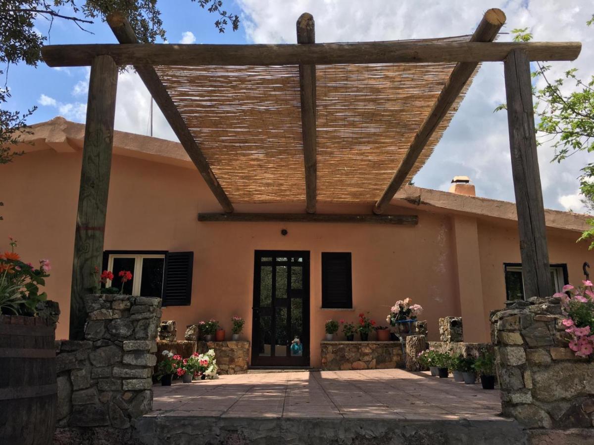 Azienda Agrituristica S'Argalasi - B&B - Affittacamere Loc S'Argalasi Austis מראה חיצוני תמונה