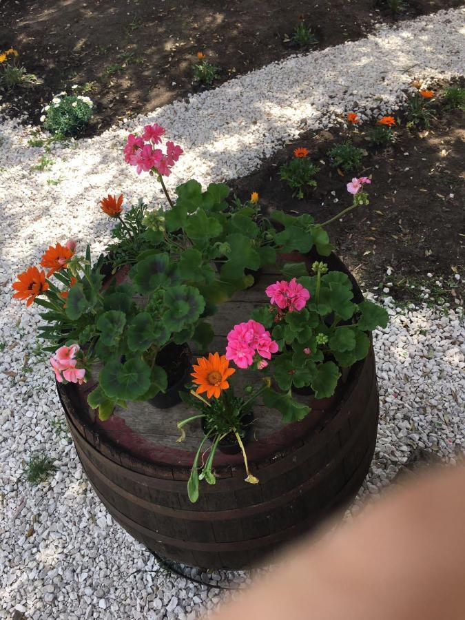 Azienda Agrituristica S'Argalasi - B&B - Affittacamere Loc S'Argalasi Austis מראה חיצוני תמונה