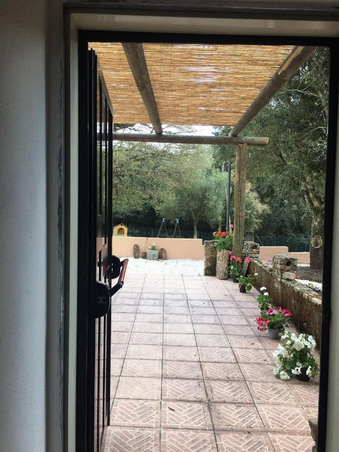 Azienda Agrituristica S'Argalasi - B&B - Affittacamere Loc S'Argalasi Austis מראה חיצוני תמונה