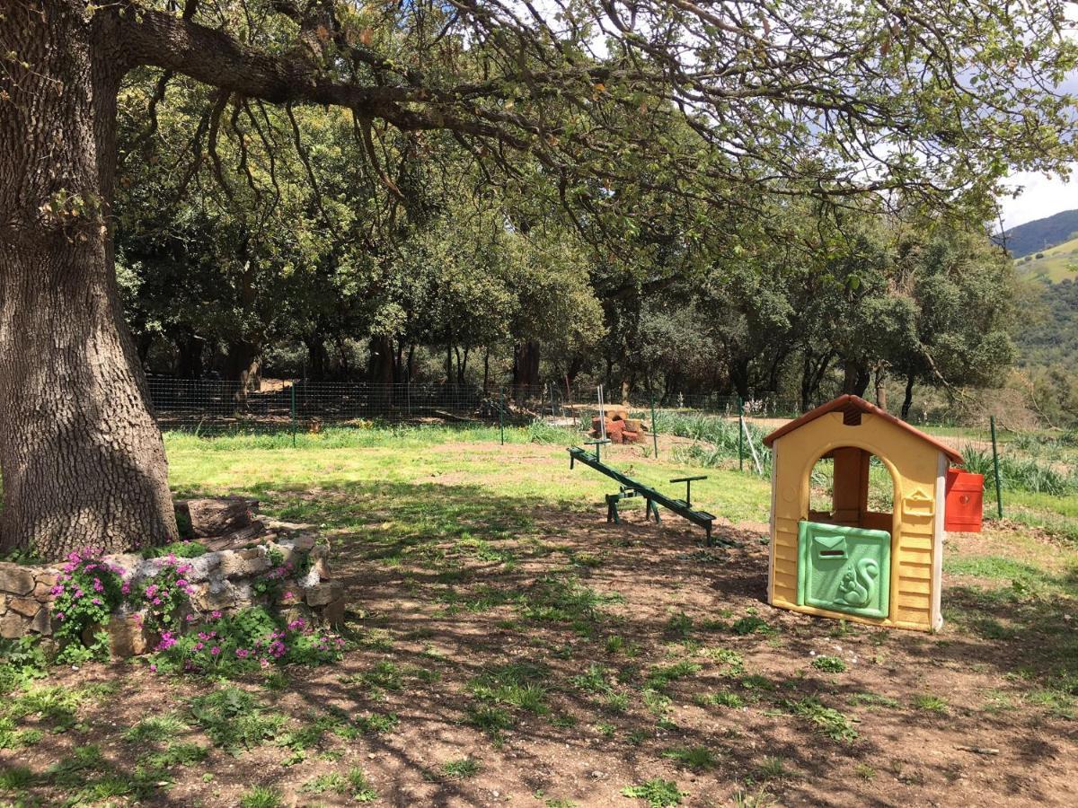 Azienda Agrituristica S'Argalasi - B&B - Affittacamere Loc S'Argalasi Austis מראה חיצוני תמונה
