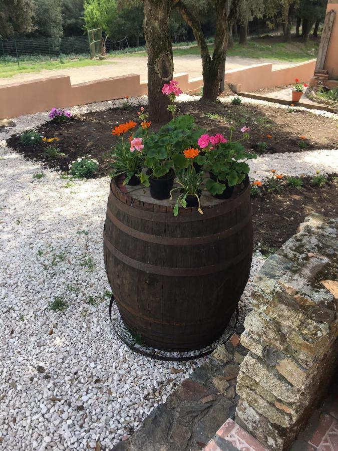 Azienda Agrituristica S'Argalasi - B&B - Affittacamere Loc S'Argalasi Austis מראה חיצוני תמונה
