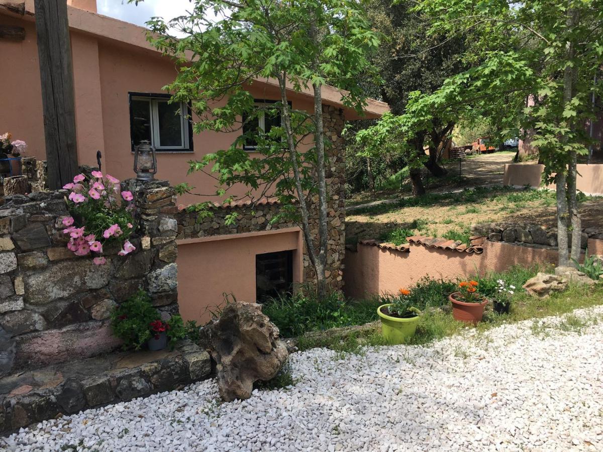Azienda Agrituristica S'Argalasi - B&B - Affittacamere Loc S'Argalasi Austis מראה חיצוני תמונה