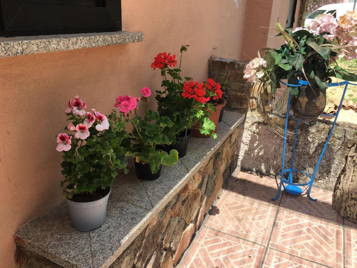 Azienda Agrituristica S'Argalasi - B&B - Affittacamere Loc S'Argalasi Austis מראה חיצוני תמונה