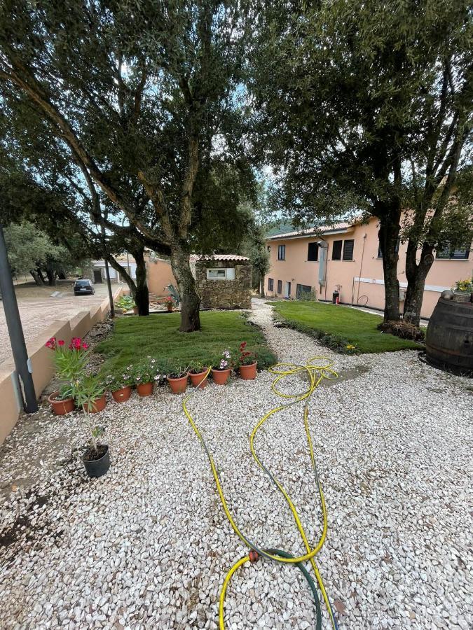 Azienda Agrituristica S'Argalasi - B&B - Affittacamere Loc S'Argalasi Austis מראה חיצוני תמונה